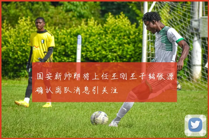 国安新帅即将上任王刚王子铭张源确认离队消息引关注