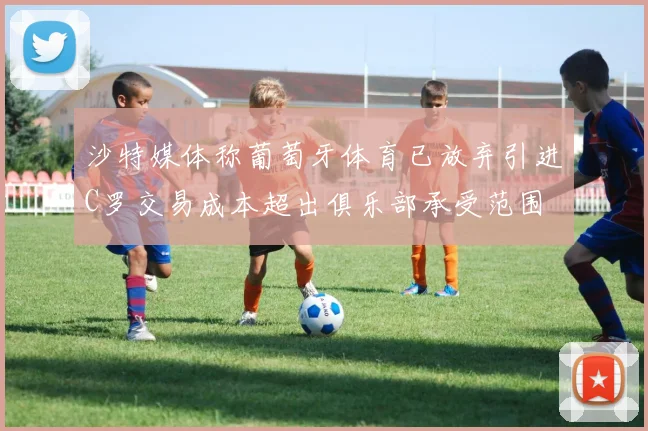 沙特媒体称葡萄牙体育已放弃引进C罗交易成本超出俱乐部承受范围