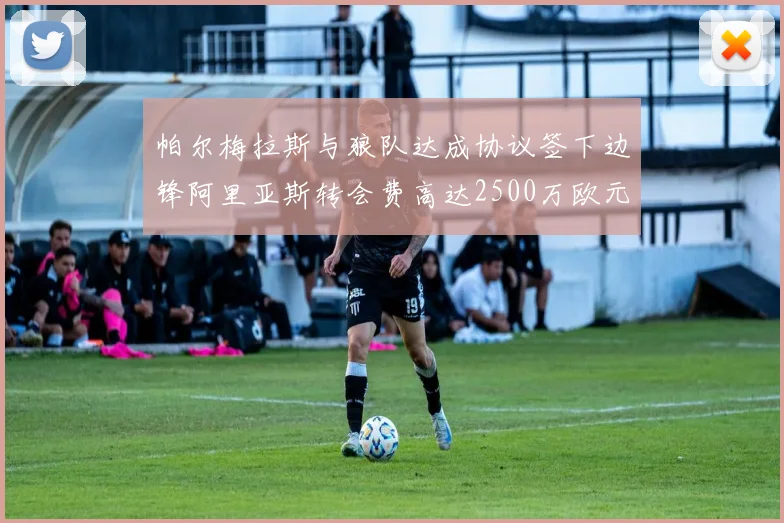 帕尔梅拉斯与狼队达成协议签下边锋阿里亚斯转会费高达2500万欧元